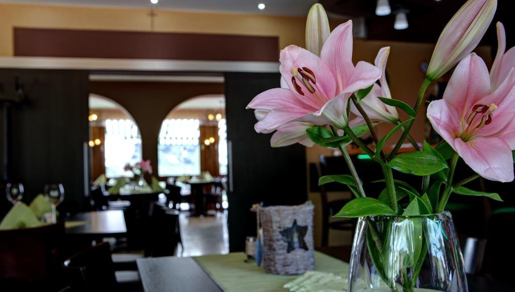 Hotel Restaurant Moselblick Wintrich Zewnętrze zdjęcie